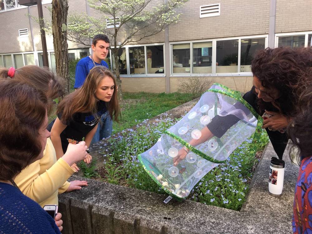 The WHS Aspire Class Releases Butterflies